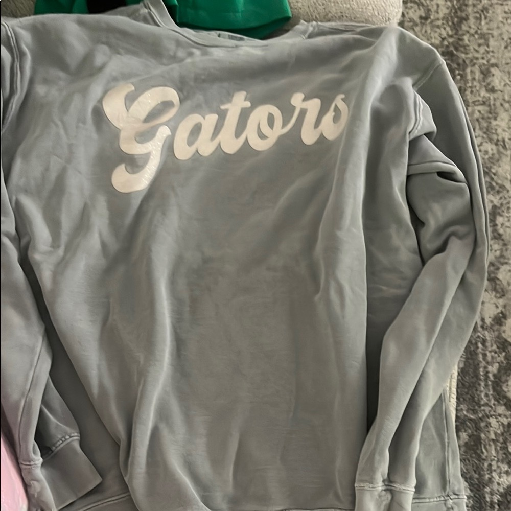 Comfort Colors Light Blue Crew Neck Sweater